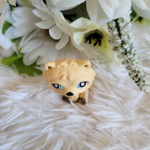 Littlest Pet Shop LPS #662 Chow Chow Dog Blonde Cream Blue Eyes Pink Flower - Picture 3 of 10